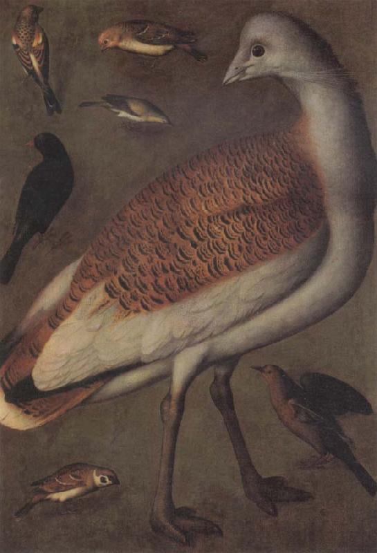 Ludger tom Ring Great Bustard Cock France oil painting art